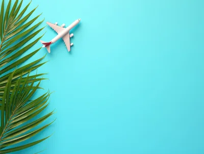 Toy Airplane and Palm Leaf on Blue Background
