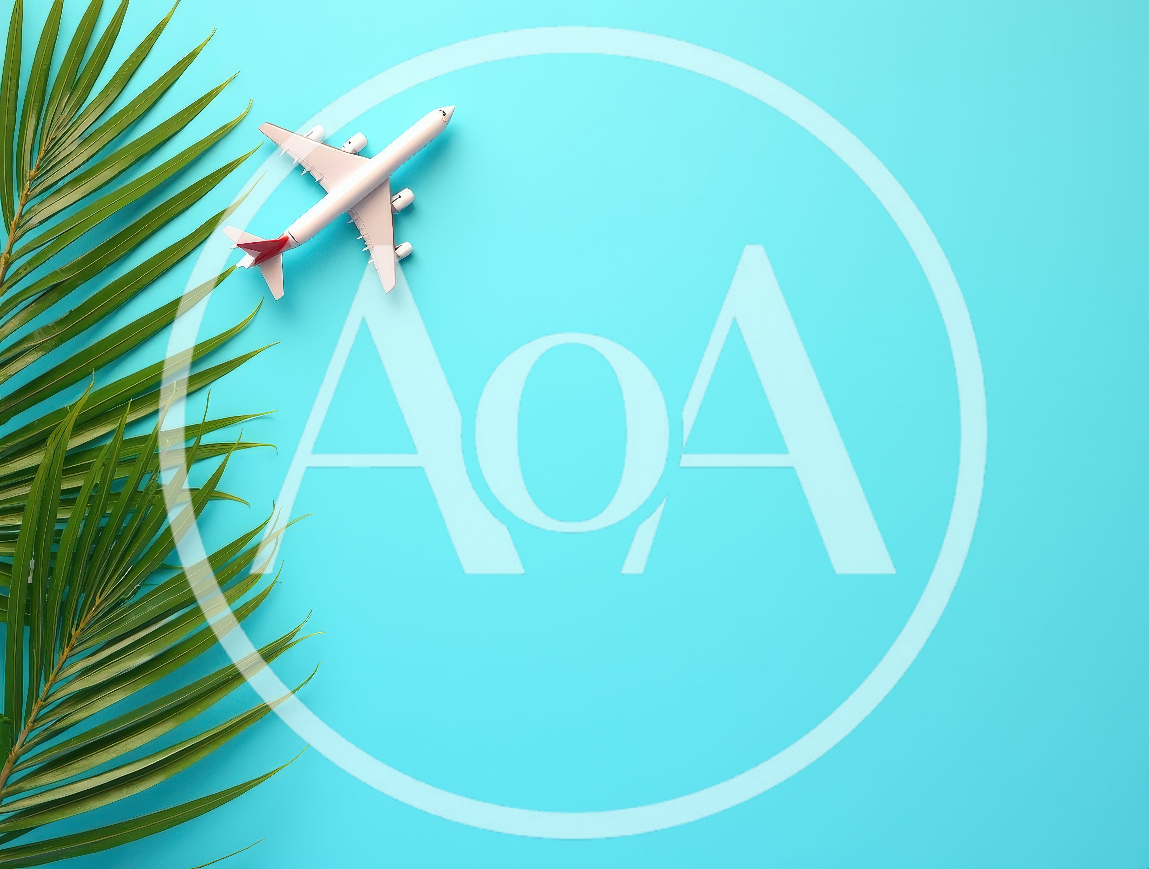 Toy Airplane and Palm Leaf on Blue Background