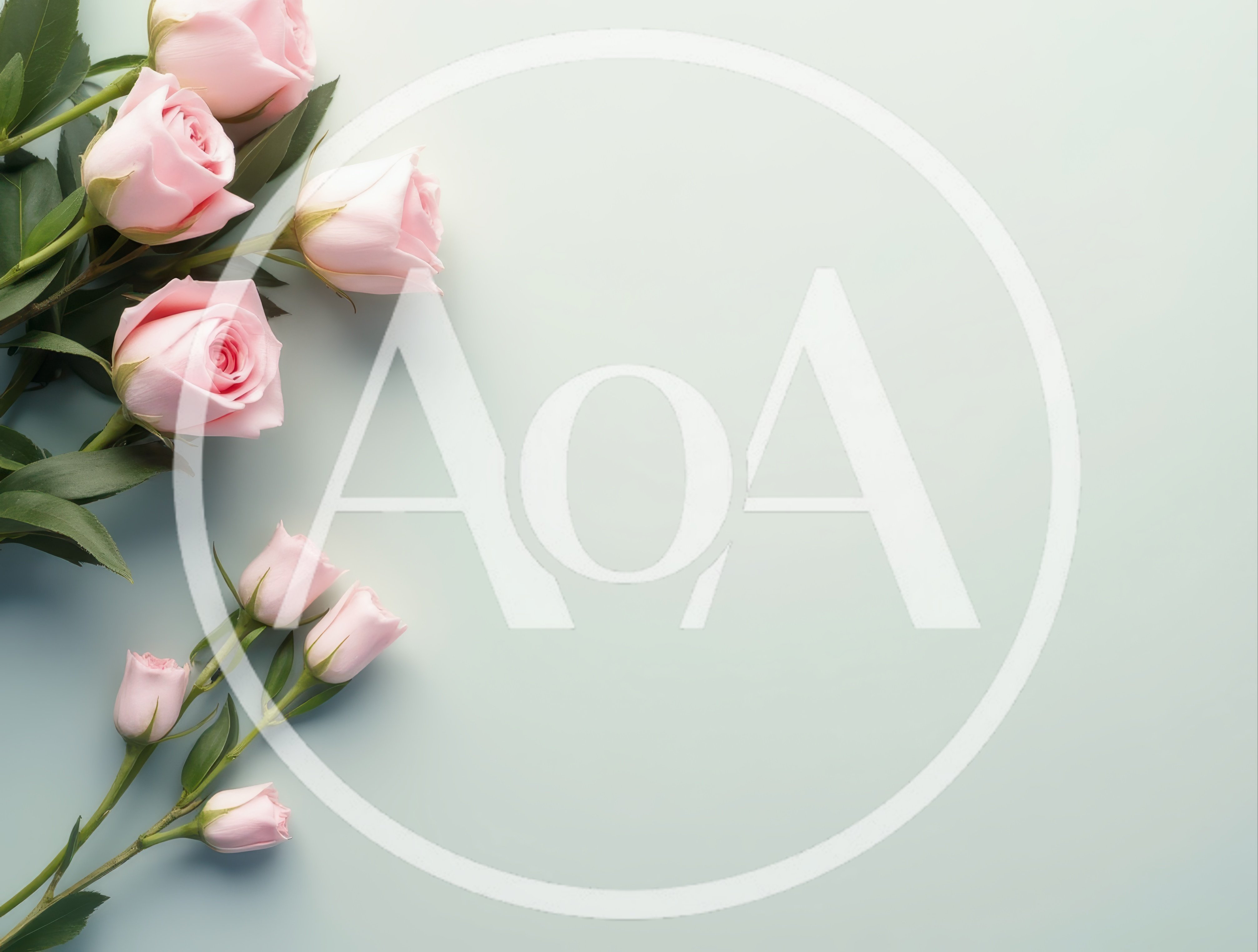 Pink Roses Arranged On A Soft Blue Background