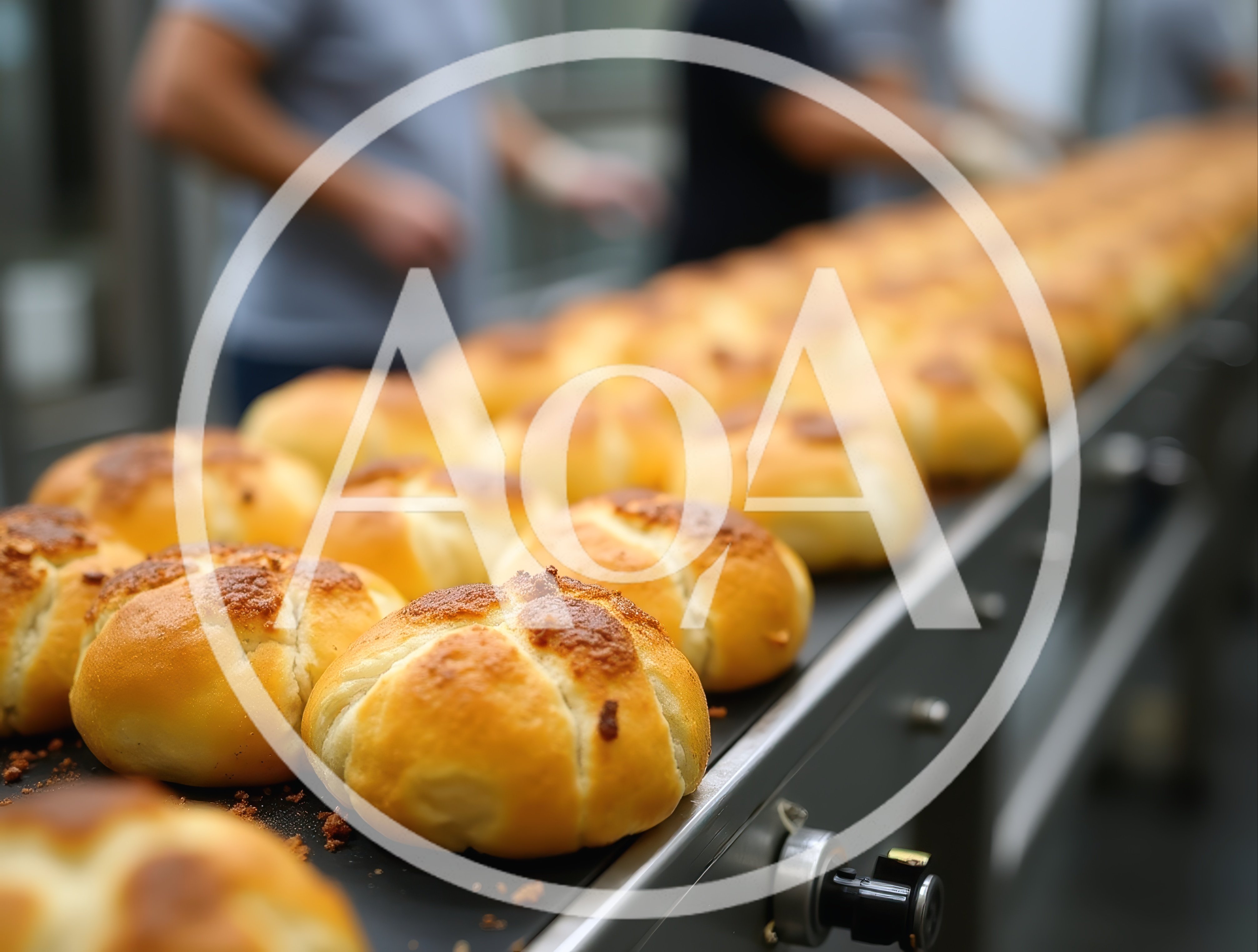 Fresh Bread Rolls Moving Along Industrial Conveyor Belt