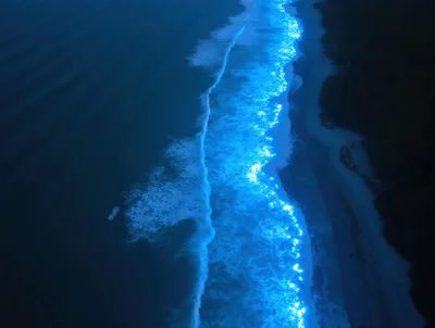 Aerial View Of Bioluminescent Waves Crashing On Beach