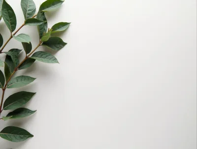 Green Leafy Branch on White Background