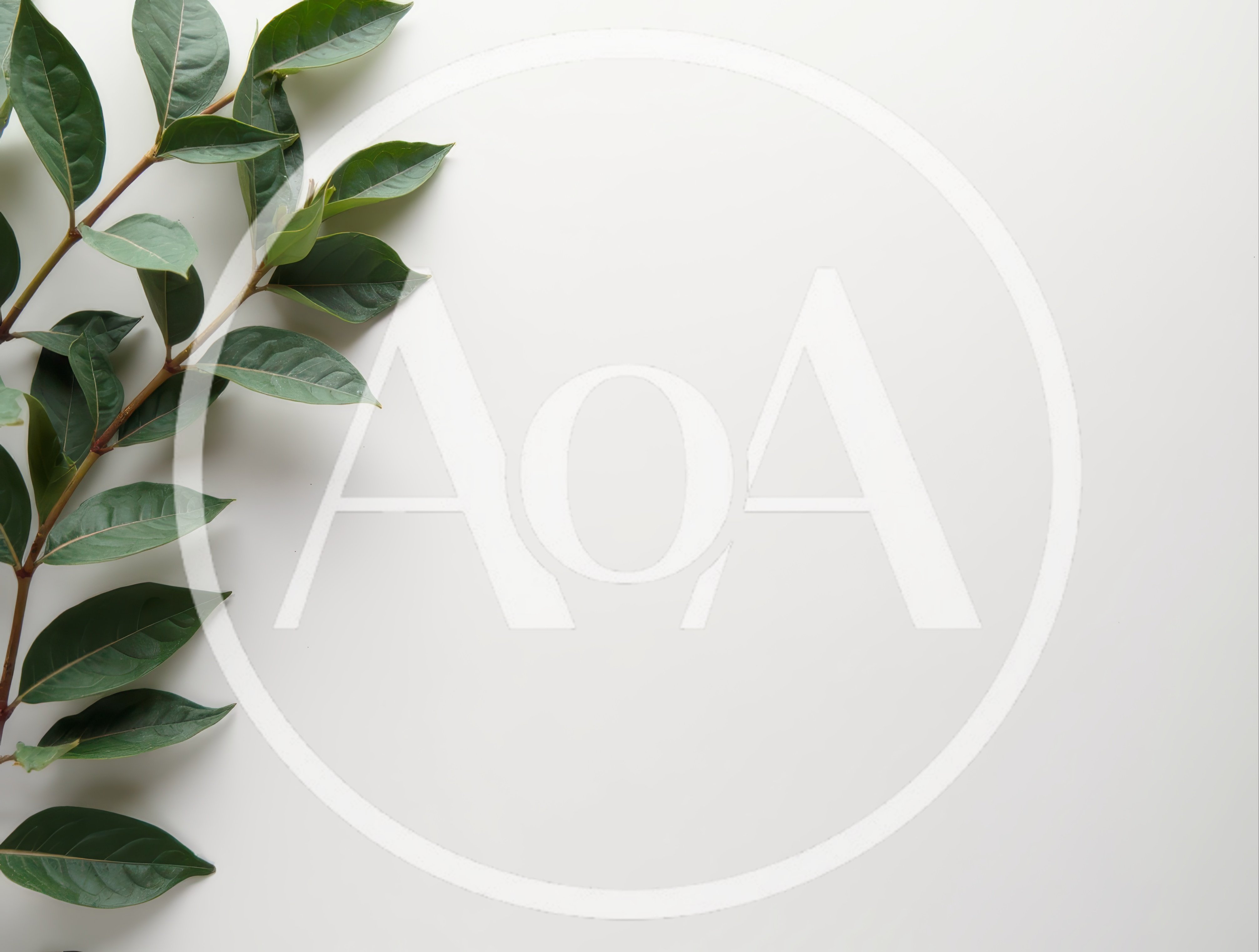 Green Leafy Branch on White Background