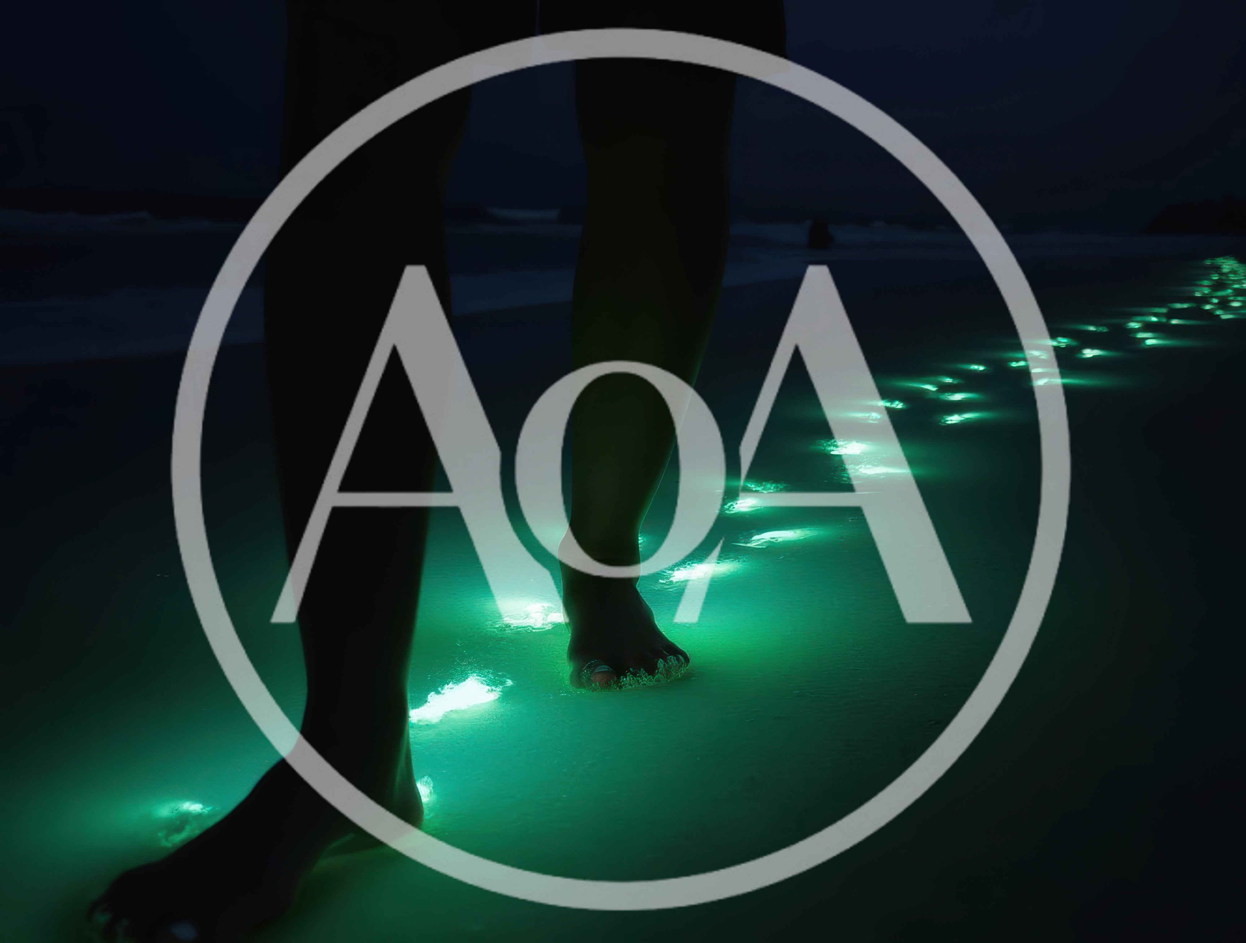 Person Walking On Bioluminescent Beach At Night