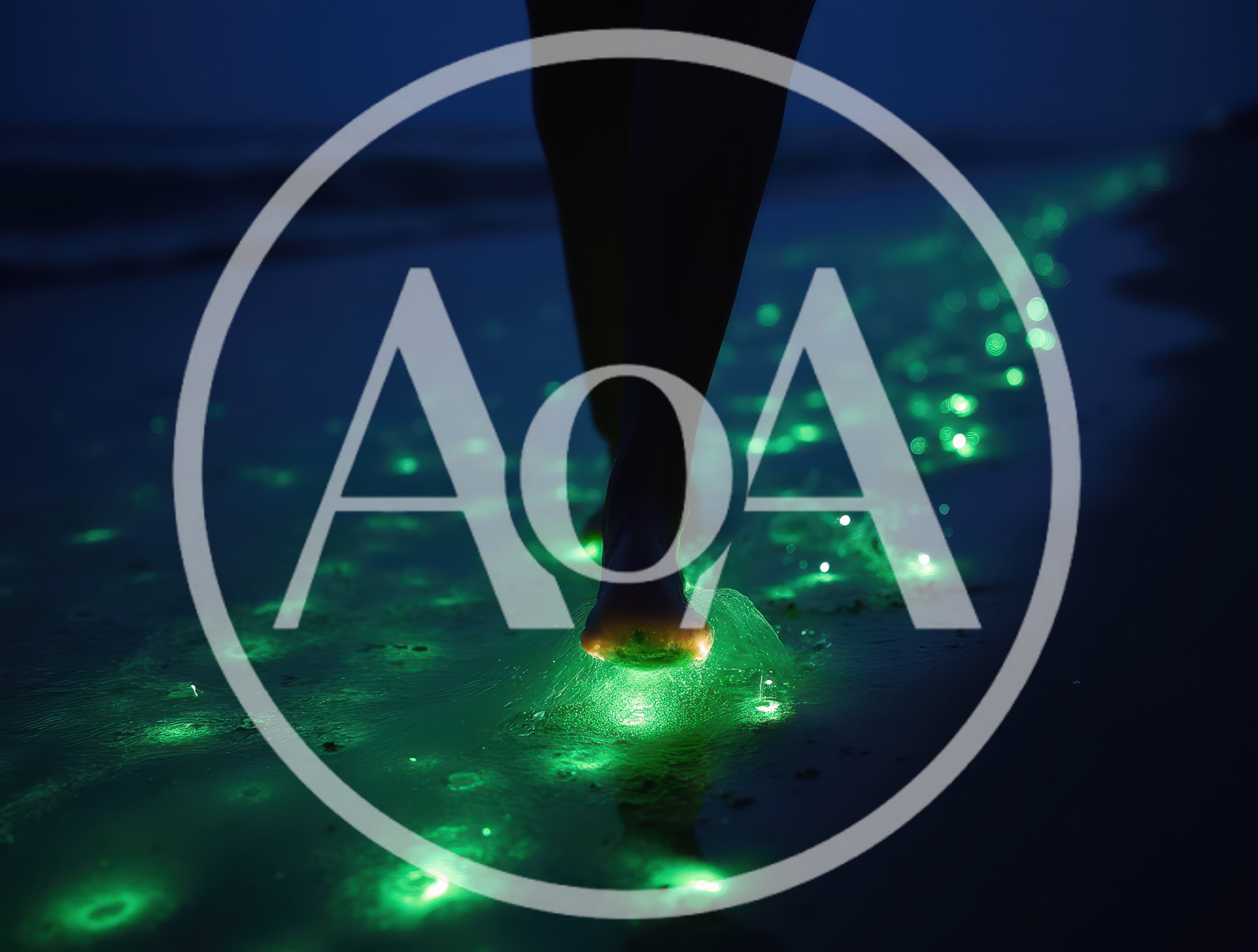 Person Walking On Bioluminescent Beach At Night