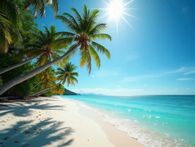 Tropical Beach With Palm Trees And Turquoise Water