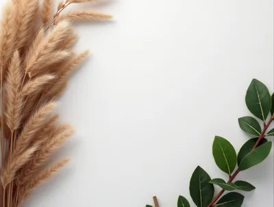 Dried Pampas Grass and Green Leaves on White Background