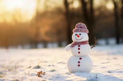 Small Snowman Standing In A Snowy Park