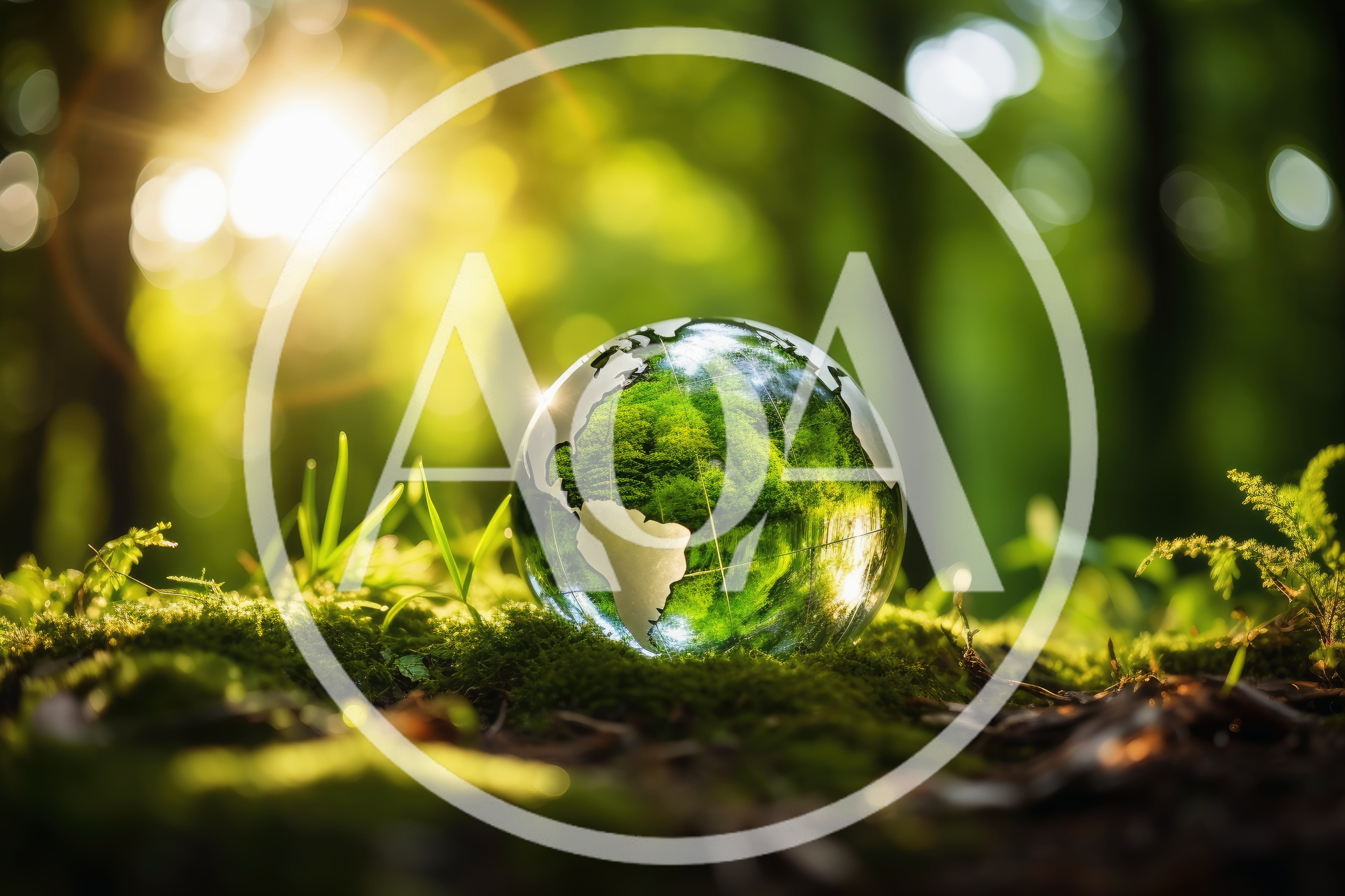Glass Globe Resting On Mossy Forest Floor