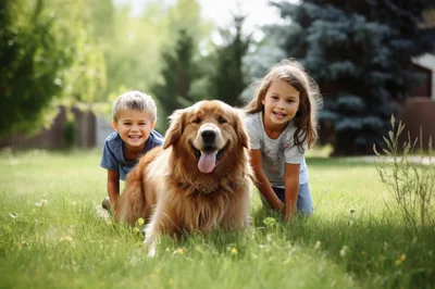 Happy Children Playing With Golden Retriever In Sunny Park