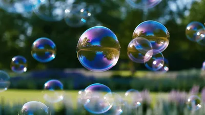 Soap Bubbles Floating And Popping In Sunny Garden