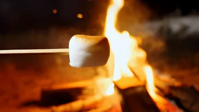 Marshmallow Roasting Over A Campfire At Night