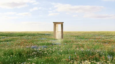 Wooden Door Opening In A Vast Wildflower Meadow