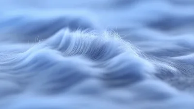 Abstract Fur Texture Changing Colors In Smooth Waves