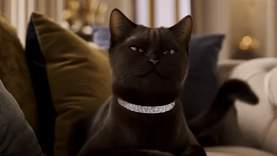 Elegant Black Cat With Diamond Collar Sitting On Sofa