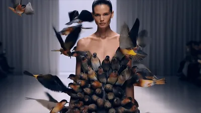 Model Wearing Surreal Bird Dress Surrounded By Flying Birds