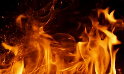 Bright Orange Flames Rising Against Black Background