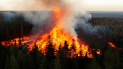 Aerial View Of Intense Forest Fire Burning Through Trees