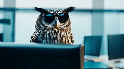 Owl Wearing Sunglasses Spreading Wings In Office