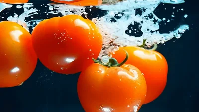 Fresh Red Tomatoes Dropping Into Clear Water