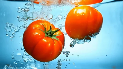 Fresh Red Tomatoes Dropping Into Clear Water