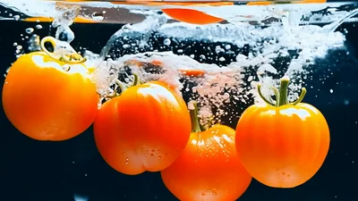 Fresh Red Tomatoes Dropping Into Clear Water
