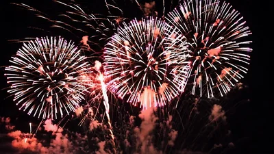 Vibrant Purple Fireworks Exploding Against Dark Night Sky