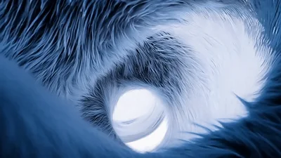 Abstract Furry Tunnel Moving Through Dark Blue Fibers