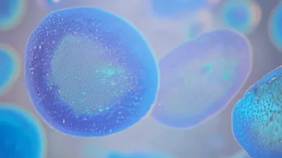 Microscopic View Of Biological Cells Floating In Fluid