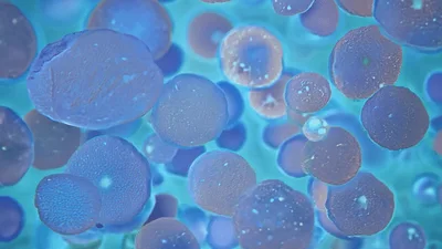 Microscopic Cells Floating In A Blue Fluid Environment