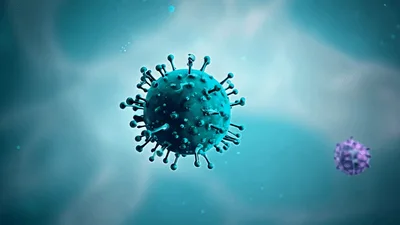 3D Animation Of Coronavirus Particles Floating In Fluid