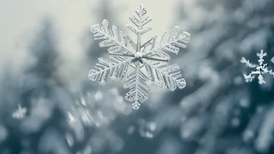 Single Intricate Snowflake Floating Against Blurred Winter Forest