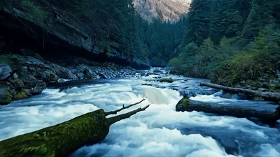 Aerial View Of Rushing River Through Forested Canyon
