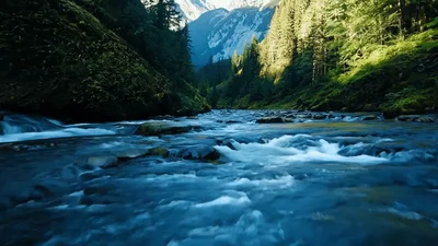 Fast Flowing River Through A Lush Mountain Valley