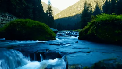 Aerial View Of A Rushing Mountain River