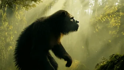 Hybrid Bear Ape Creature Walking Through Misty Forest