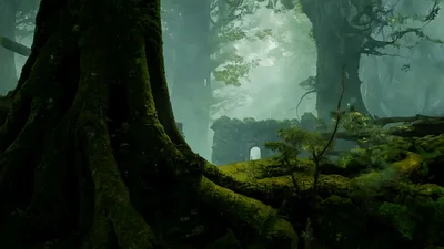 Ancient Stone Ruins Hidden Within A Misty Green Forest