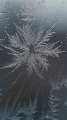 Intricate Frost Patterns Growing On A Cold Window Pane