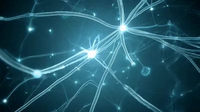 Neural Network Synapse Connection Firing In Brain