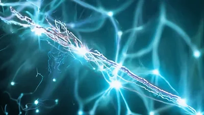 Digital Brain Neural Network Connection Animation