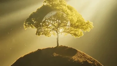 Glowing Earth Globe Appearing Behind A Tree