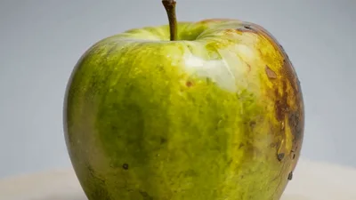 Time Lapse Of A Green Apple Rotting