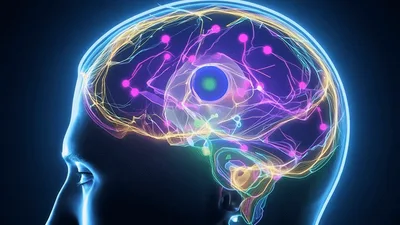 Digital Human Brain Neural Network Visualization