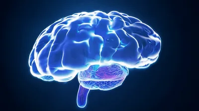 Glowing Digital Human Brain Rotating In Dark Space