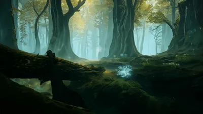 Glowing Magical Particles Floating In A Misty Forest