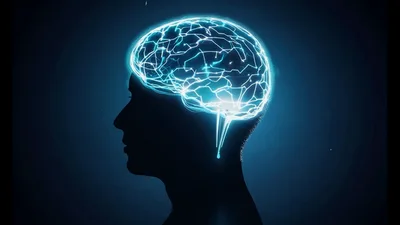 Glowing Digital Human Brain Neural Network Animation