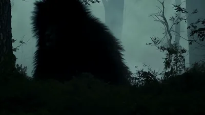 Large Hairy Creature Moving Through Misty Forest