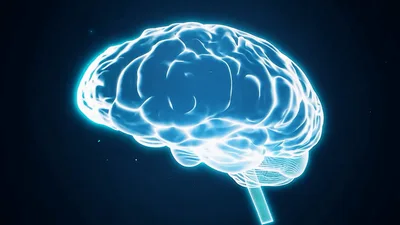 Glowing Digital Human Brain Rotating In Dark Space