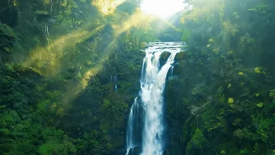 Aerial View of Lush Waterfall in Tropical Rainforest