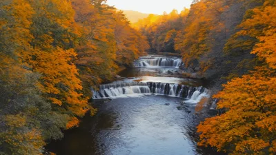 Aerial View Of Cascading Waterfalls In Autumn Forest